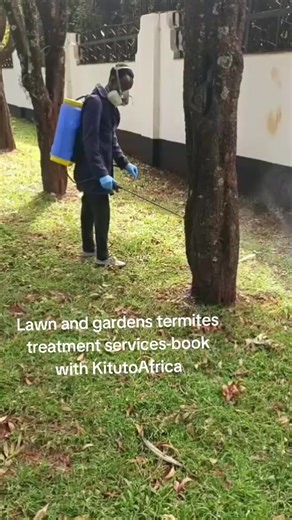 KitutoAfrica Hygiene Solutions – Professional Lawn & Garden Termite Treatment Services in Kenya KitutoAfrica Hygiene Solutions is the best leading company for professional lawn and garden termite treatment services in Kenya, trusted by homeowners, landscapers, estates, institutions, and commercial properties. We specialize in termite control and termite treatment for lawns, gardens, trees, wooden structures, and soil, protecting your outdoor spaces from destructive termite damage. Our expert sol