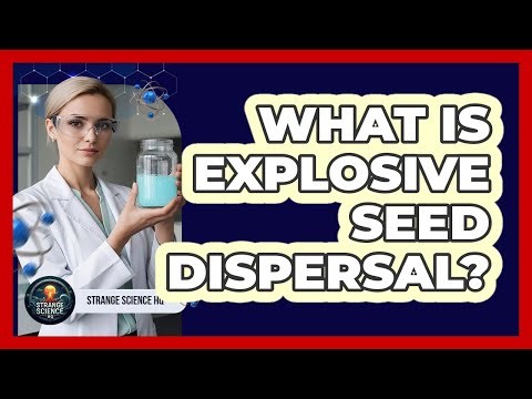 What Is Explosive Seed Dispersal?