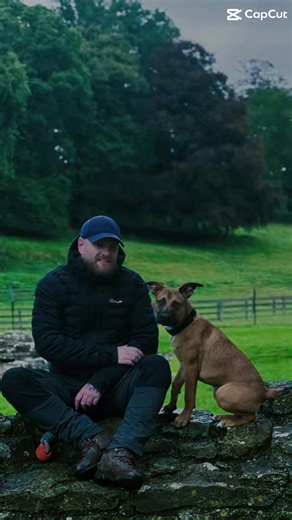 The Pure Love of Dogs: Loyalty and Respect