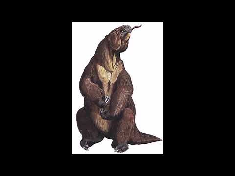 Sound Effects - Megatherium