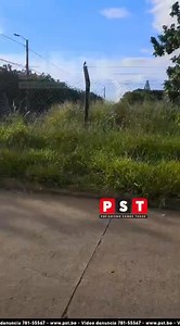 VECINOS DEL BARRIO EL PAJONAL DENUNCIAN ABANDONO DE ÁREAS VERDES Vecinos del barrio El Pajonal denunciaron el abandono de sus áreas verdes, donde la maleza ha crecido de forma excesiva y, en algunos sectores, supera la altura de una persona, generando gran preocupación. Los habitantes advierten que esta situación incrementa la inseguridad y representa un riesgo sanitario, ya que los pastizales podrían convertirse en criaderos de mosquitos. Ante ello, piden a las autoridades municipales interveni