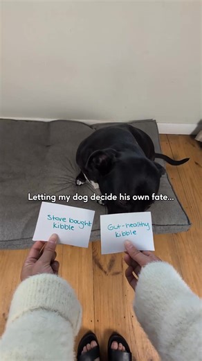 15K views | Whether you’re already managing enough or just want to upgrade your dog’s diet- Scratch is affordable fancy dog food that makes clean feeding a breeze. | Scratch | Facebook