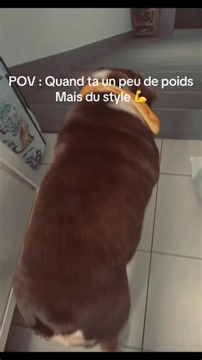 Quand le style rime avec poids : Un point de vue humoristique