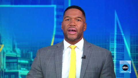 Flight makes emergency landing after apparent rabbit strike