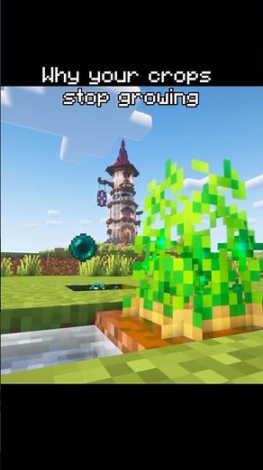 Chunk Loader That Keeps Farms Growing Forever