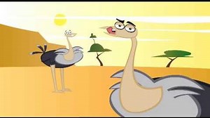 I'm an Ostrich