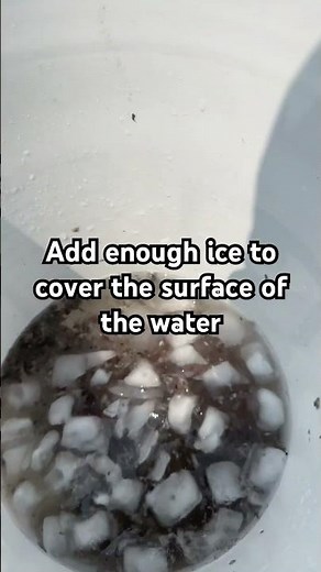 How to make your night crawlers HUGE!