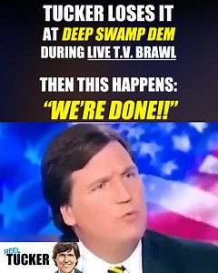 259K views · 10K reactions | Tucker Carlson LOSES IT at infuriating deep swamp Dem during live TV brawl | Southern Fried Justice | Facebook