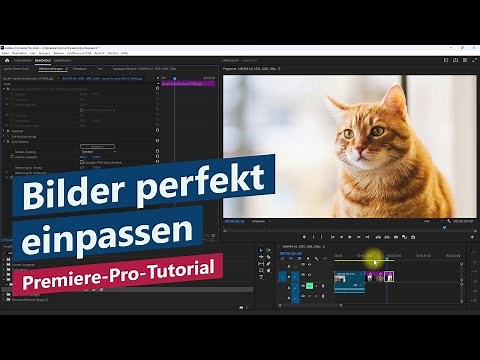 Clips und Bilder in Frame einpassen und zentrieren mit Auto Reframe – Premiere-Pro-Tutorial
