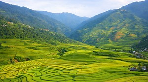 The mountains turned into endless rice steps