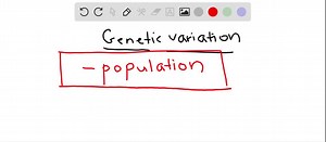 The appropriate unit for defining and measuring genetic variation is the a. cell. b. individual. c. population. d . community. e . ecosystem. | Numerade