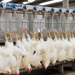 [Hot Item] Complete Chicken Processing Plant with Slaughterhouse Design