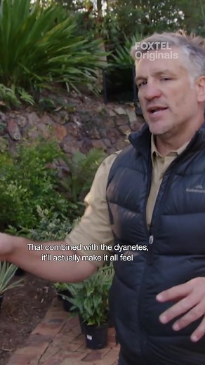 Buying Your First House in Australia: A Complete Guide