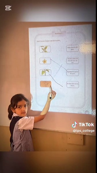 IPS & College on TikTok