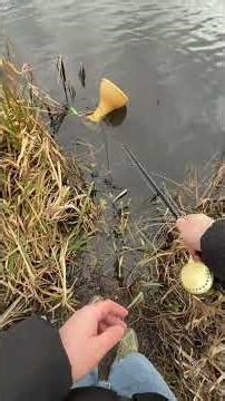 Fish Didn’t See This Coming 😱🐟 #shorts #youtubeshorts #fishhunting #fishcatch