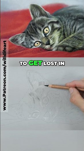 Learn to draw animals with pastels #drawing #artinstruction