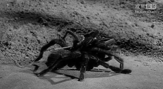 不可思议的收缩人 The Incredible Shrinking Man (1957)