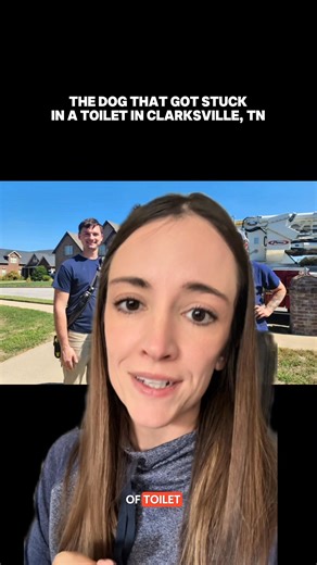 If you have this toilet…be careful. Powered by A1 Heating an Air Conditioning. #clarksvilletnstories #clarksvilletnnews #funnypetstories #funnynews | Clarksvillenow.com