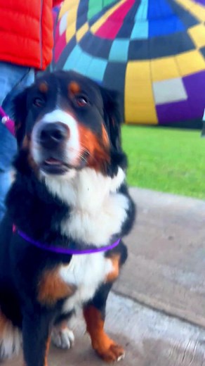 En #skyballoons tenemos promociones increíbles, vive está gran experiencia #vuelaenglobo y conoce las #piramidesdeteotihuacan desde las #alturas #globosaerostaticos #volar #tocaelcieloconlasmanos