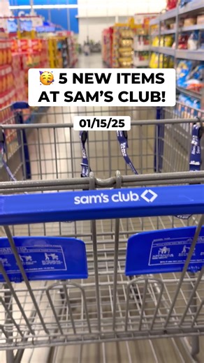 Exciting New Finds at Sam's Club You Can't Miss