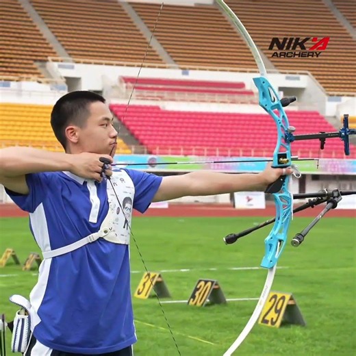 Nika archery limbs for recurve and barebow archers#nikaarchery #elongarrow #elongoutdoor