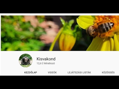 Élő adás - tervek és ötletek a kertben 2022