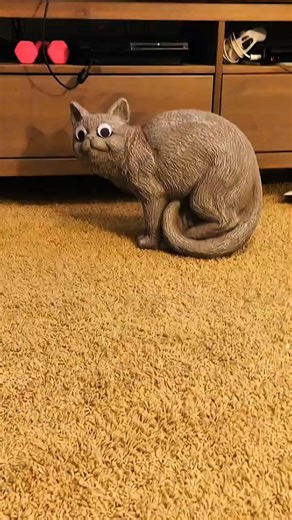 Scared Cats Jumping for Their Lives 😹🐈