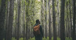 10 Animals You Should Watch Out For On A Hike And How To Prepare For Them