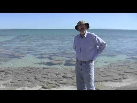 The great oxygenation event