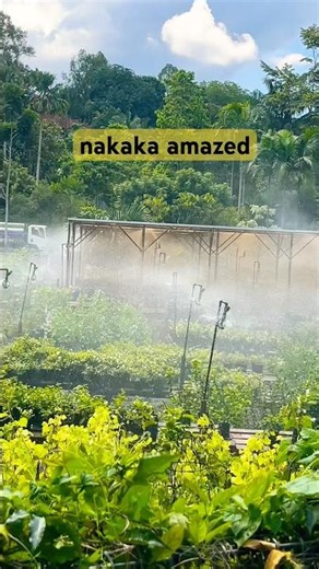 📍it's amazing how they water the plants😅 #singapore #plants #amazing