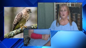 Texas woman attacked by snake, hawk at the same time