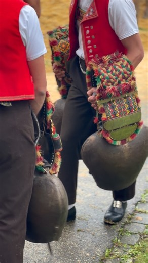 🔔 Swiss Cowbells: More Than Just a Sound in the Alps! 🇨🇭