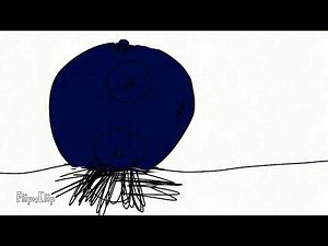 Blueberry inflation