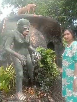 ഇവിടെ ഇല്ലാത്തതായി ഒന്നും ഇല്ല / Vlog/ DIY/ Craft ideas/ Divya Shiju