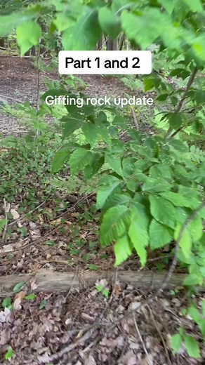 Gifting rock update. This is strange ! #foryou #sasqautch #unexplained #creepy #shapeshifter #witchtok #bizzare #creepy #shapeshifter #cryptid #bigfoot #dogman #creature #giftingrock #scary #rake #darkenergy #camping