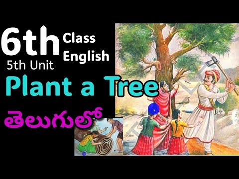 "Plant a Tree"-6th Class English, 5th unit