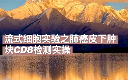 流式细胞实验之肺癌皮下肿块CD8检测实操