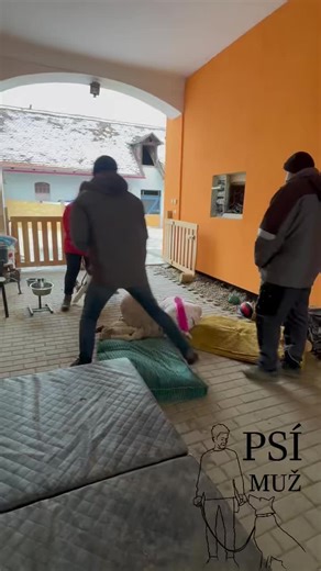 PSÍ MUŽ on Instagram: "Termíny a další informace naleznete na mém webu • Kladno, Beroun – 8.1. • Příbram, Dobříš – 9.1. • Děčín, Ústí nad Labem,– 10.1. • Litoměřice, Lovosice, Terezín – 11.1. • Pardubice – 12.1. – 13.1. • Pardubický kraj – 12.1. – 13.1. • Praha– 14.1. • Česká Lípa, Nový Bor– 15.1. • Poděbrady, Nymburk, Sadská– 16.1. • Liberec, Jablonec, Frýdlant– 17.1. • Pardubice 19.1. – 20.1. • Pardubický kraj – 19.1. – 20.1. • Praha– 20.1. • Kolín, Kutná Hora, Čáslav– 21.1. • Benešov, Vlašim–