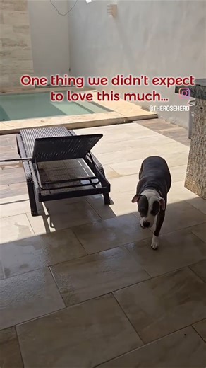 One thing we love about Mérida... #meridamexico #lifeinmexico