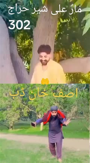 Explore Asif Raza Khan Dab Software Features