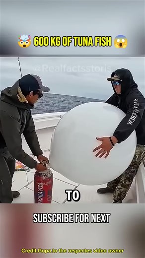 Curious CM (@curious_cm)’s videos with original sound - Curious CM