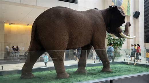 People are amazed by this life sized elephant inside a modern museum