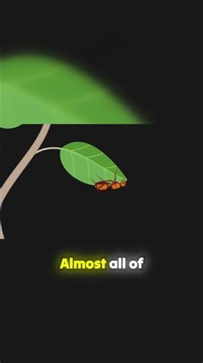 This Ant's Final Death Grip is TERRIFYINGLY Precise.