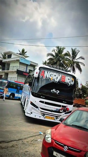 tourist bus mass entry | tourist bus mass | crazy bus entrys #shorts