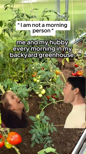 😴 I’m not a morning person...