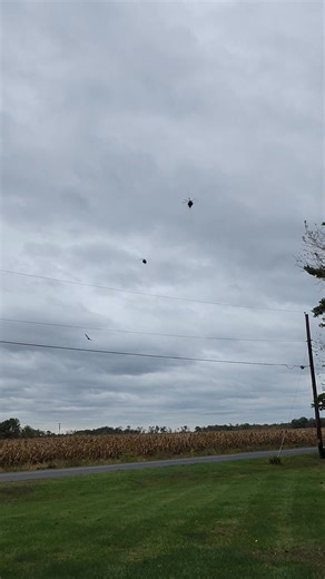 Dawn Lewis on Reels | Facebook