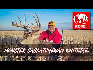 Monster Saskatchewan whitetail Hunt! 🦌💥