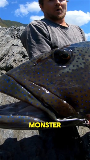 1.4M views · 44K reactions | It's a MONSTER!!! | Cavy Fishing | Facebook