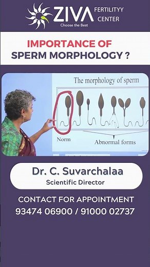 Importance Of Sperm Morphology || Sperm Abnormalities || Dr Chekuri Suvarchala || ZIVA Fertility