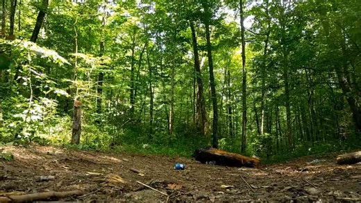 The Backyard Blast That Should Never Happen